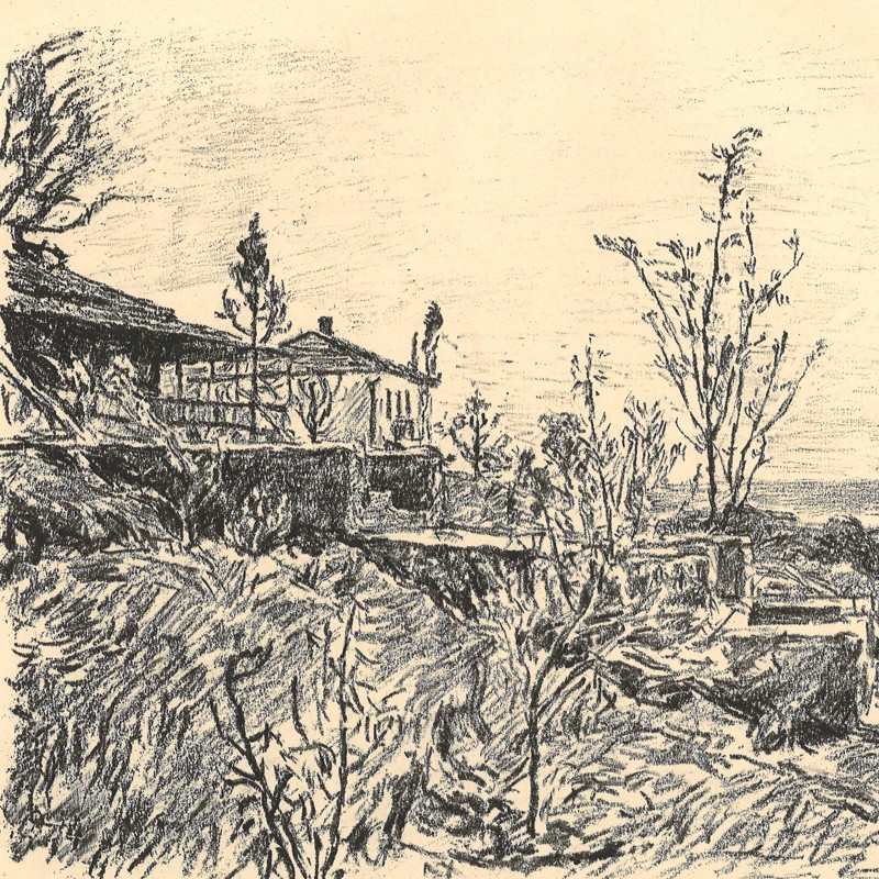 auction